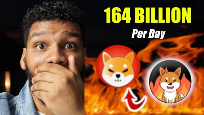 164 BILLION #SHIB COINS!!! Shiba Burn Token Will Change EVERYTHING!!!