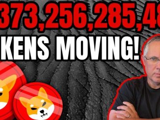 3,373,256,285,484 SHIBA INU TOKENS ARE ON THE MOVE! ALSO, WHAT ARE SHIBA INU COIN WHALES DOING NOW?
