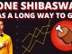 Bone Shibaswap Token has a long way to go!