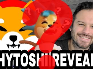 Shiba Inu Coin | Is Shytoshi Going To Reveal Himself To The SHIB Community??