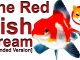 Shiba Inu Wealth Transfer - The Red Fish Dream - The CryptoKnight 7000 Subscribers Congratulations