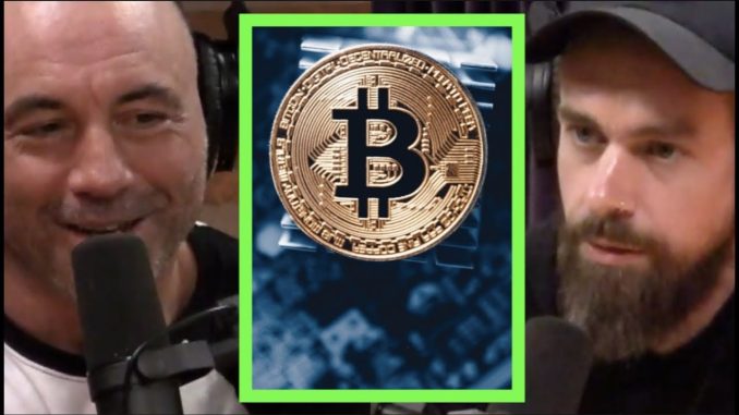 Twitter CEO on Bitcoin "The Internet Will Have a Currency" | Joe Rogan