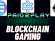 What Is Blockchain Gaming