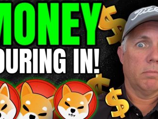 SHIBA INU COIN: THIS COULD BE IT! - SHIB COIN HUGE 500M$ PRICE PUMP! - SHIB Price Prediction