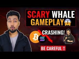 Scaleswap announces whitelist opening and IDO launch date