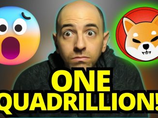 IF YOU OWN SHIBA INU YOU MUST WATCH THIS VIDEO! (SHIBA INU DANGER EXPLIANED!)