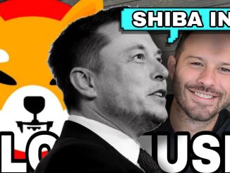 Shiba Inu Coin | Elon Musk Mentions A Shiba Inu
