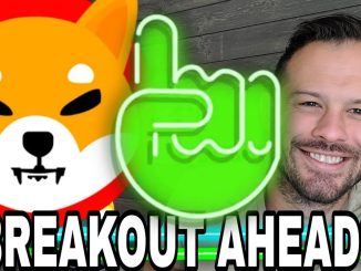 Shiba Inu Coin | SHIB Gearing Up For A Breakout!?