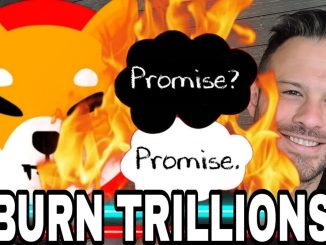 Shiba Inu Coin | This Project Promises To Burn Trillions Of SHIB Per Year!