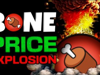 TIME IS LIMITED BEFORE BONE SHIBASWAP EXPLODES IN PRICE!!! (PRE - SHIBARIUM)
