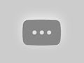 💯 BETTER THAN DOGS TELEGRAM - New NFT Game Destroys Competitors!