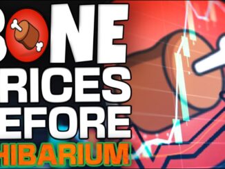 BONE SHIBASWAP CAN EXPECT THESE PRICES BEFORE SHIBARIUM RELEASE!!!