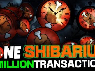BONE SHIBASWAP ITS ABOUT TO HAPPEN AFTER 2 MILLION TRANSACTIONS ON SHIBARIUM!!!