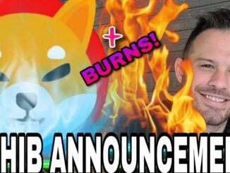 Shiba Inu Coin | SHIB Announcement This Week And Record SHIB Burns!