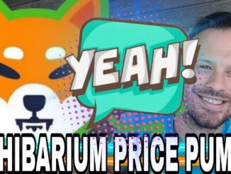 Shiba Inu Coin | Will SHIB and BONE Pump When Shibarium MainNet Is Released?